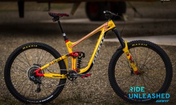 Custom Reign Advanced 29 Enduro Bike