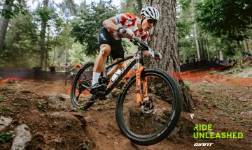 Mountain biker riding around a tree