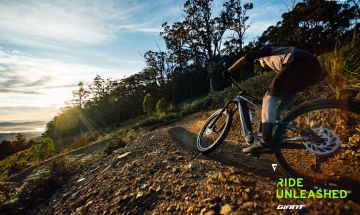 Mountain bikers riding a trail