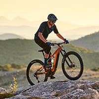 Elektrische Mountainbikes